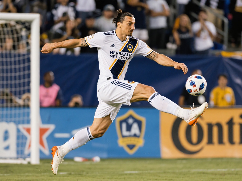 队的青春风 队的青春风